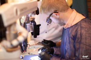 AlKaram Dental By Concerto Media