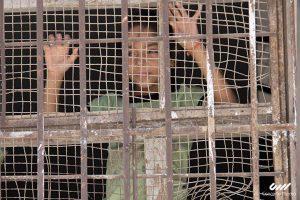 Childness By Concerto Media