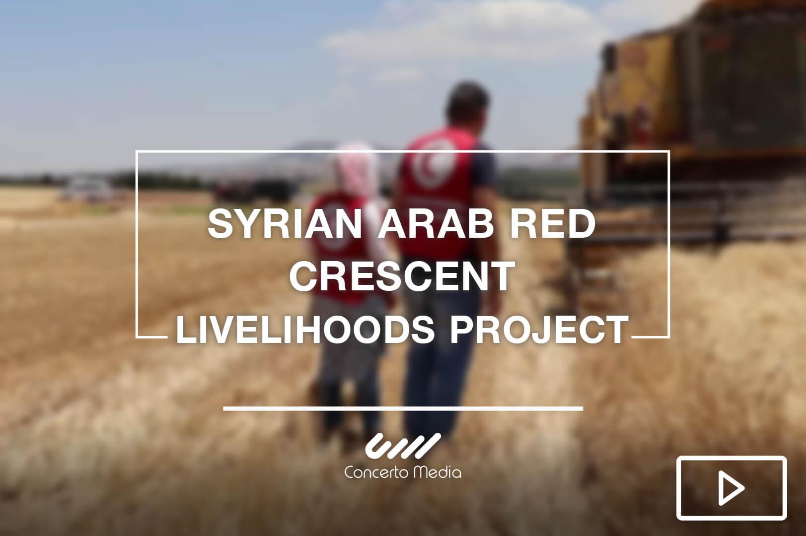 Concerto Media Photography